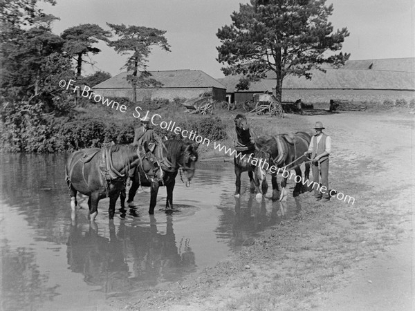 WATERING THE HORSES / TEAM